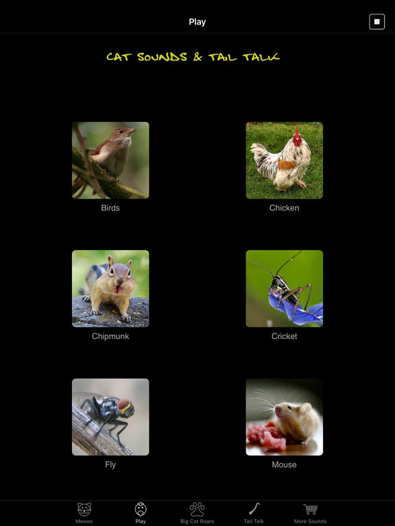 Cat Sounds & Tail Talk screenshot