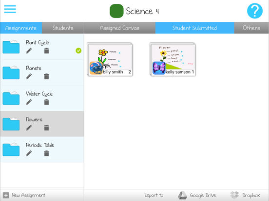 iPad Screenshot 5
