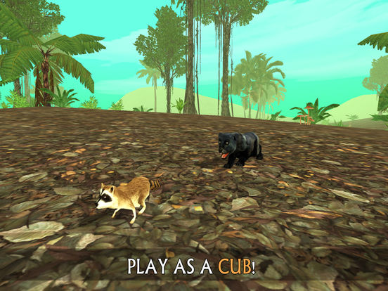 Wild Panther Sim 3D: Rainforest RPG Adventuresscreeshot 2