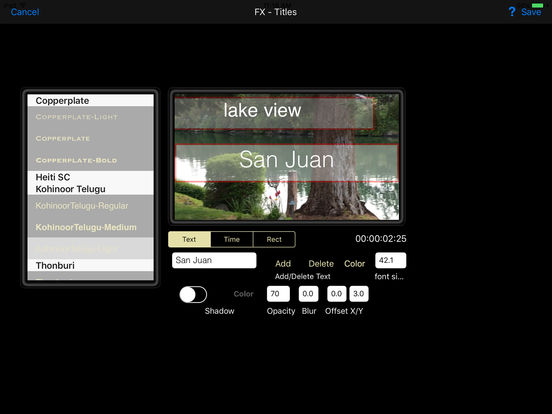 iPad Screenshot 3