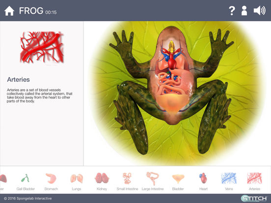 iPad Screenshot 3