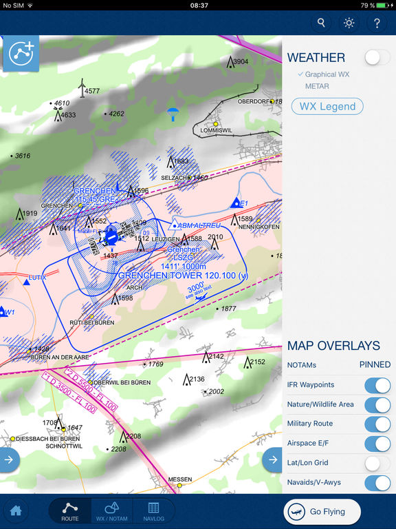 iPad Screenshot 2
