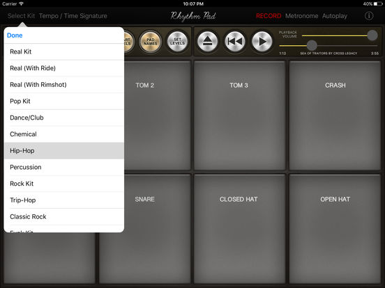 iPad Screenshot 2
