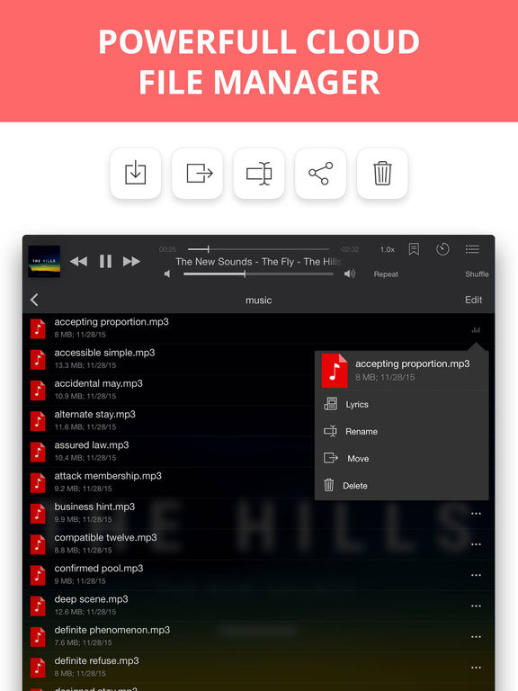 iPad Screenshot 3