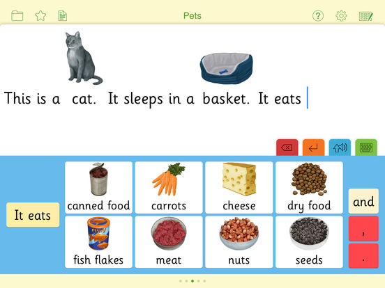 iPad Screenshot 1