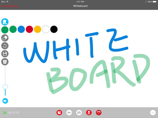 iPad Screenshot 5