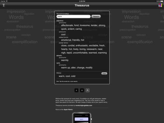 iPad Screenshot 3