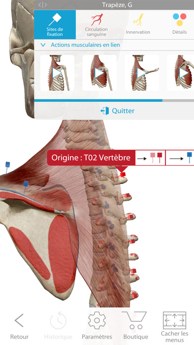 Screenshot Atlas d'anatomie humaine Édition 2018