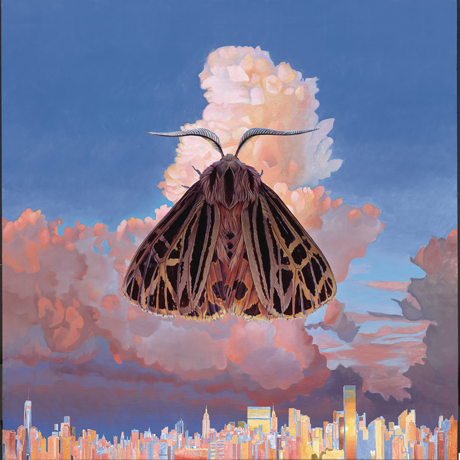 album cover for Moth