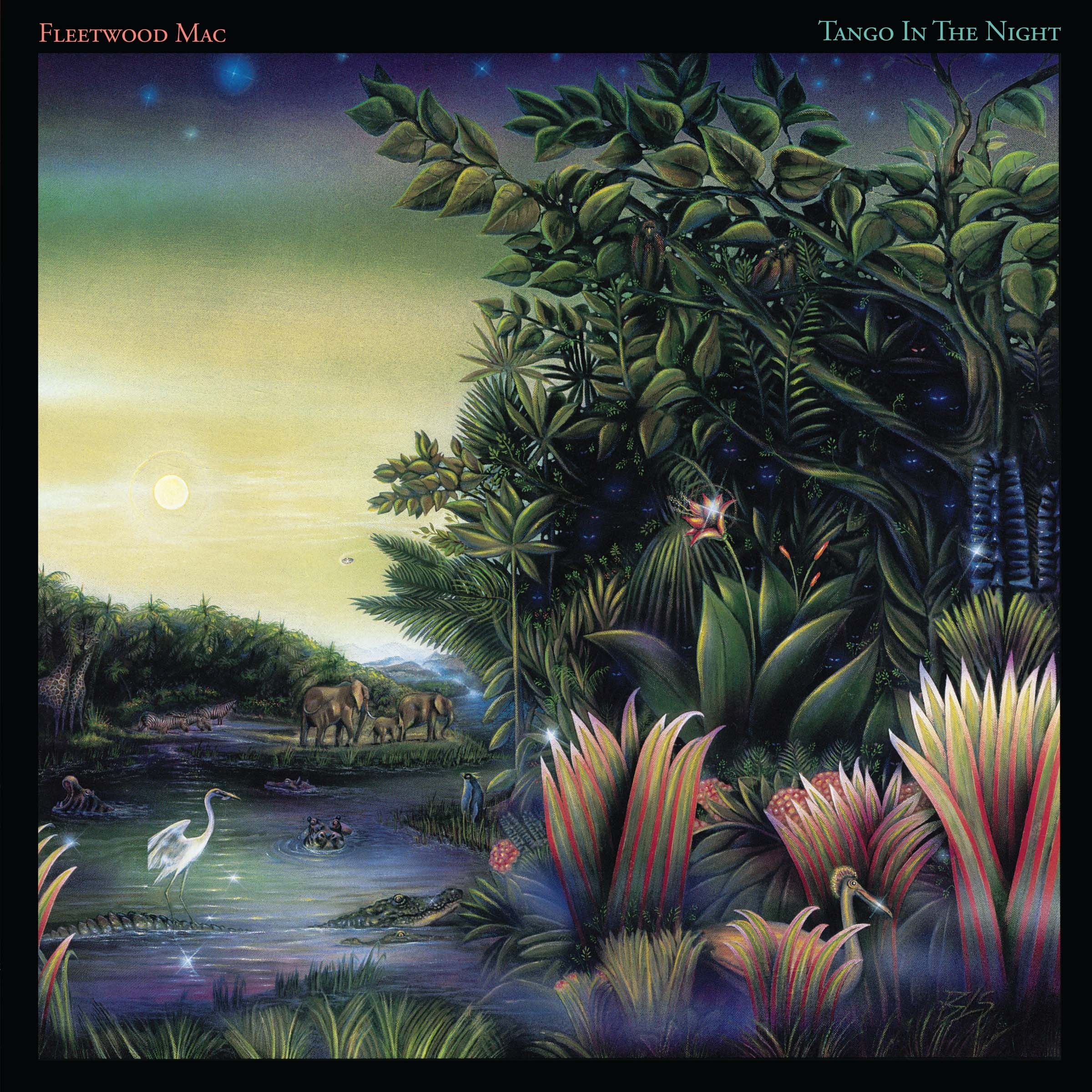 Tango In The Night cover