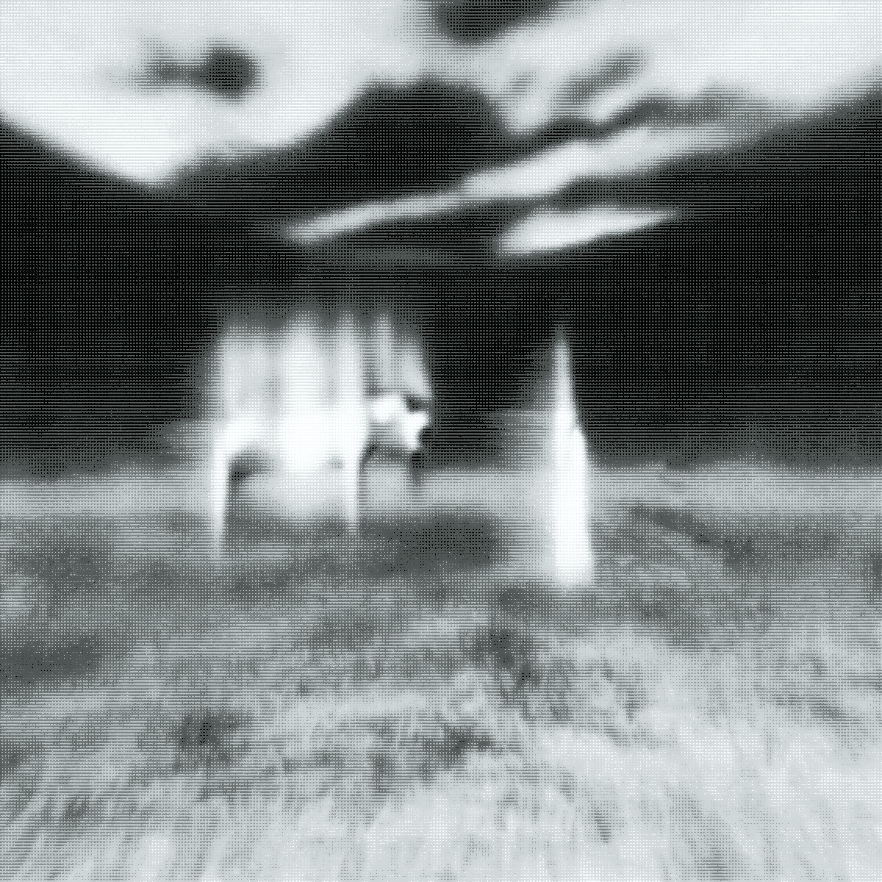 artwork.jpg