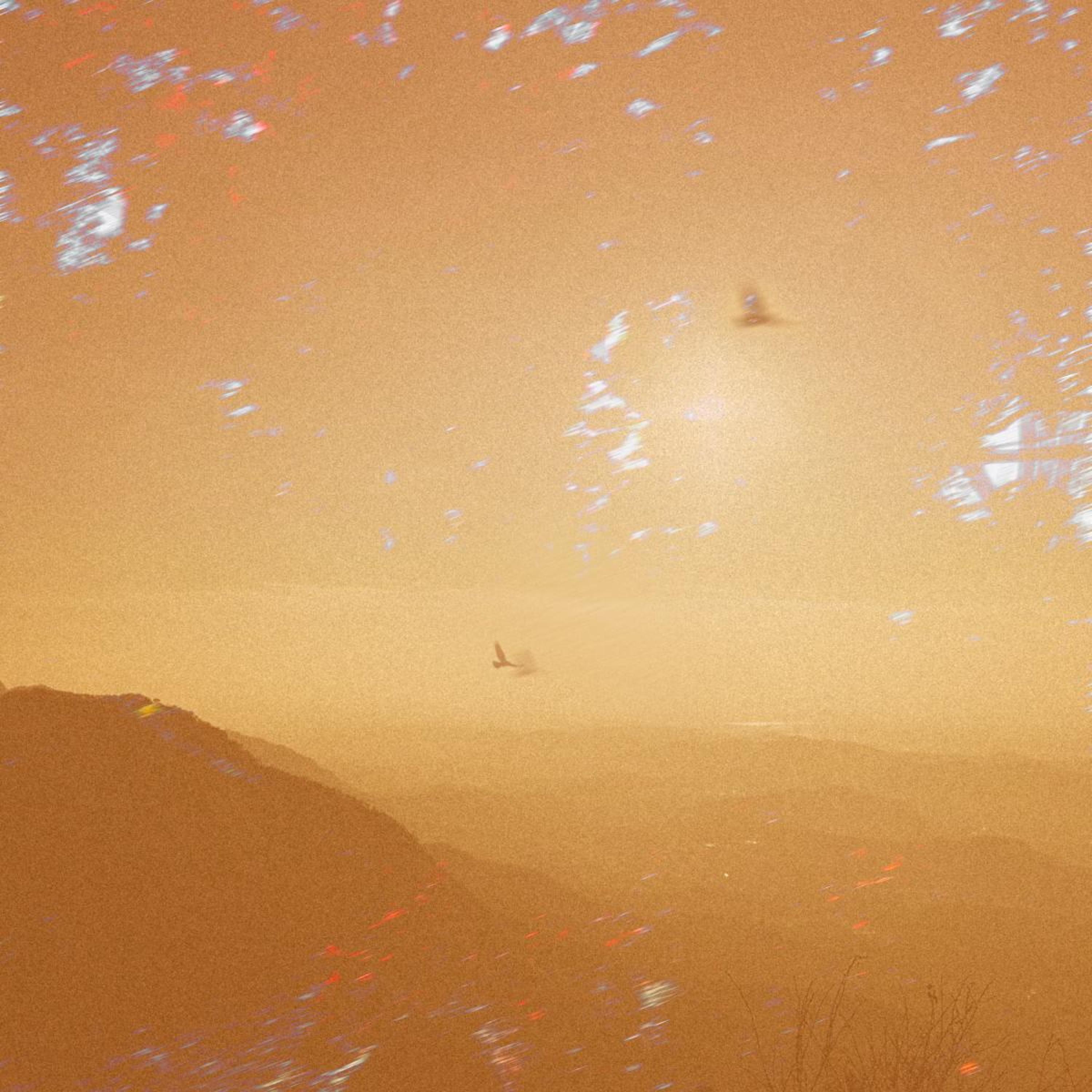 artwork.jpg
