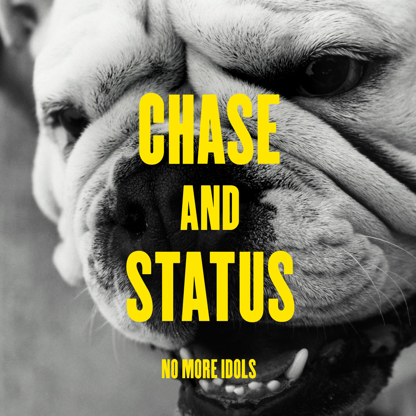 No More Idols cover