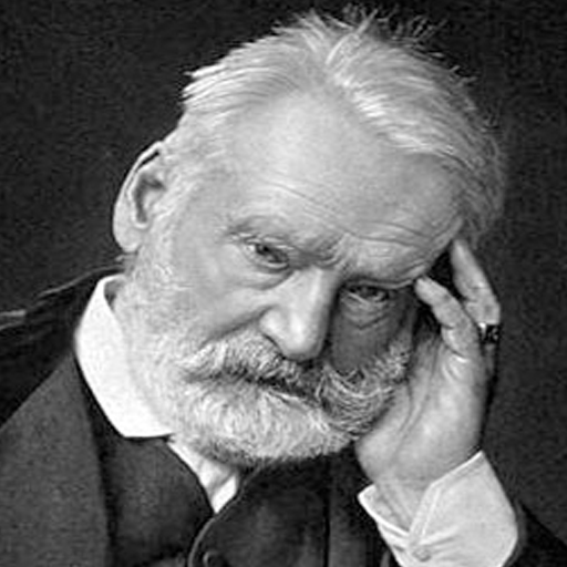 Victor Hugo Book Collection