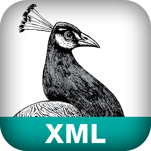 XML Pocket Reference, Third Edition