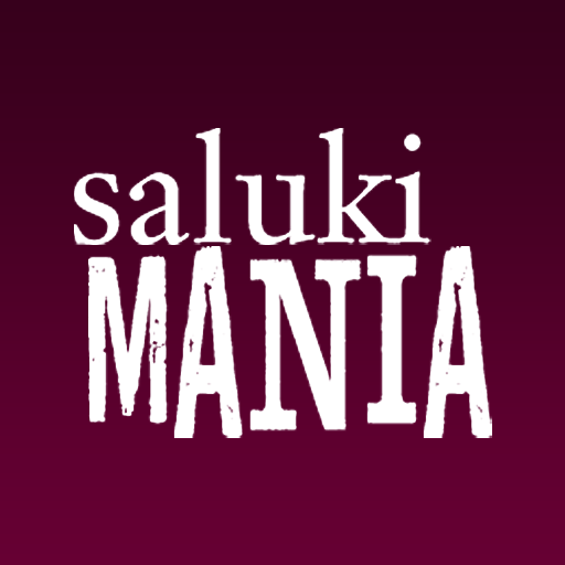 Saluki Mania by The Southern Illinoisan