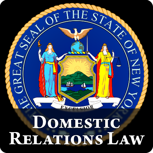 NY Domestic Relations Law 2011 - New York DRL