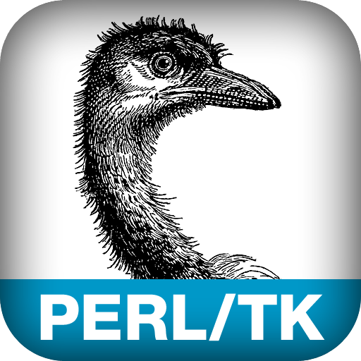 Web, Graphics & Perl/Tk Programming