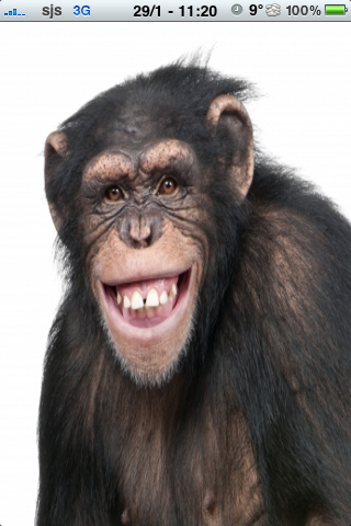Happy Chimpanzee Slide Puzzle image #1
