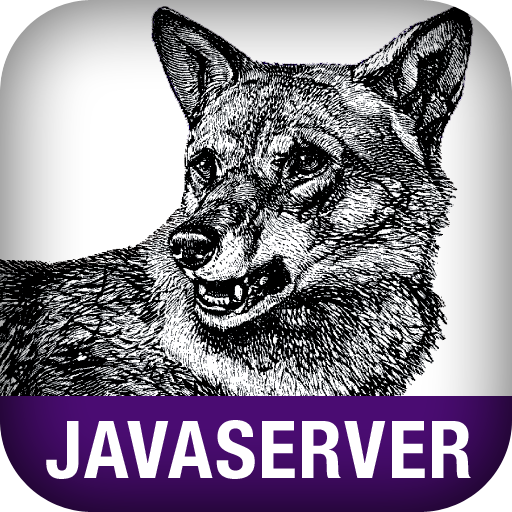 JavaServer Pages Pocket Reference