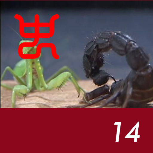 Insect arena 3 - 14.Giant deathstalker VS Giant asian mantis