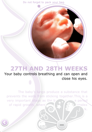 Your Pregnancy Week by Week screenshot 4