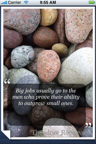 Theodore Roosevelt Quotes image #1