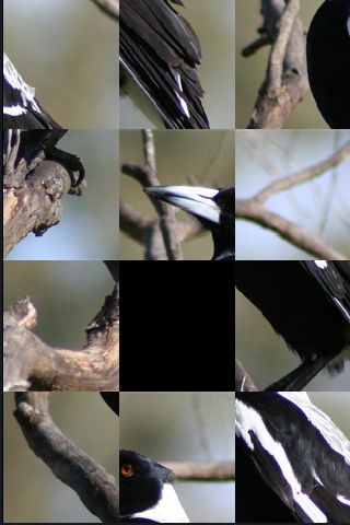 SlidePuzzle - Magpie image #1