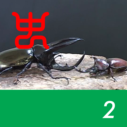 The world's strongest king of insect decision Vol.1 - 2.Caucasus beetle VS Japanese horned beetle