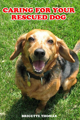 Caring For Your Rescued Dog image #1