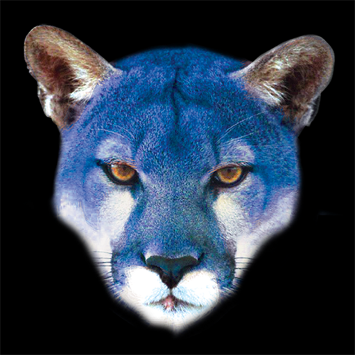 CougarBlue