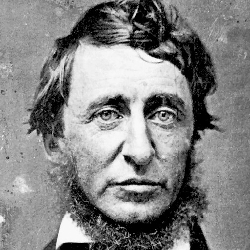 Henry David Thoreau Book Collection