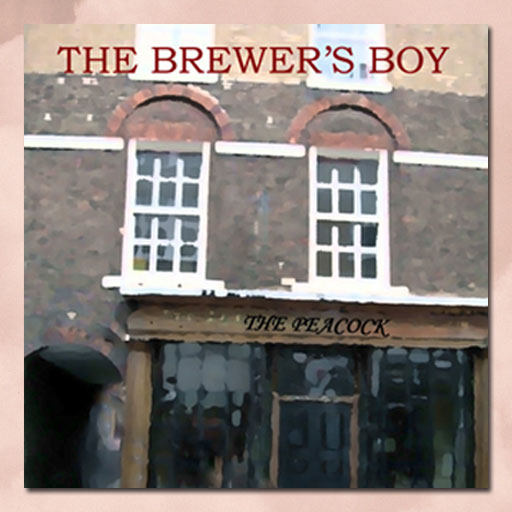 The Brewer's Boy by Feona J. Hamilton