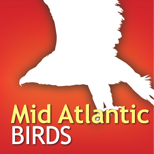 Audubon Birds Mid Atlantic – A Field Guide to the Birds of The Mid Atlantic States