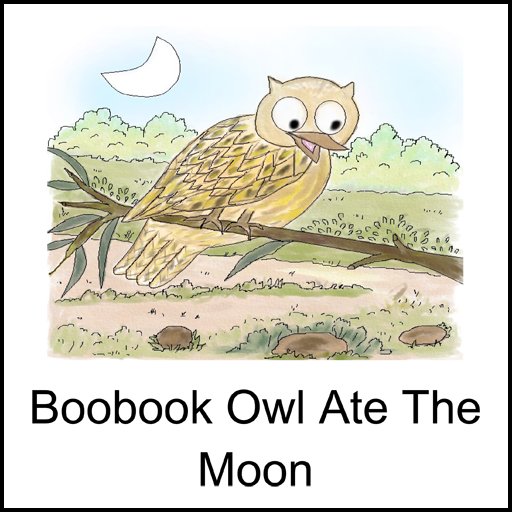 Boobook Owl Ate The Moon
