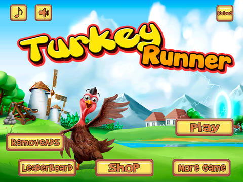 Turkey Runner screenshot 3