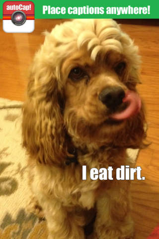 autoCap - Instant funny photo captions for Instagr - náhled