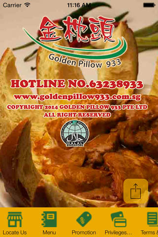 Golden Pillow 933 - náhled