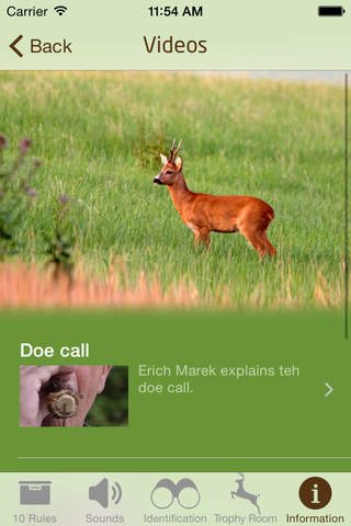 Roebuck Hunt - náhled