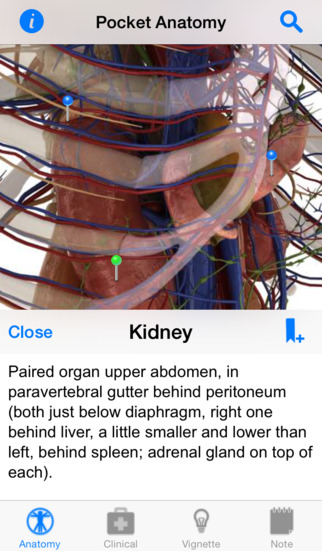 Pocket Anatomy - Interactive 3D Human Anatomy and Physiology. screenshot 3
