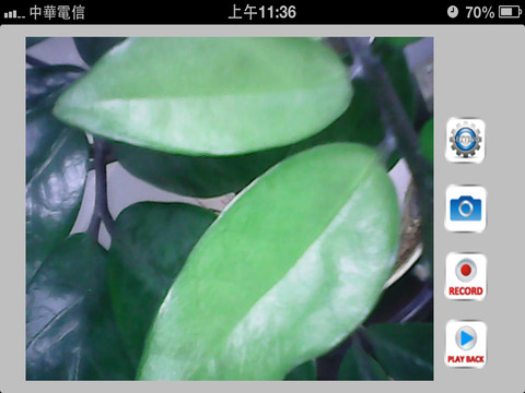 iSNAKESCOPE - náhled