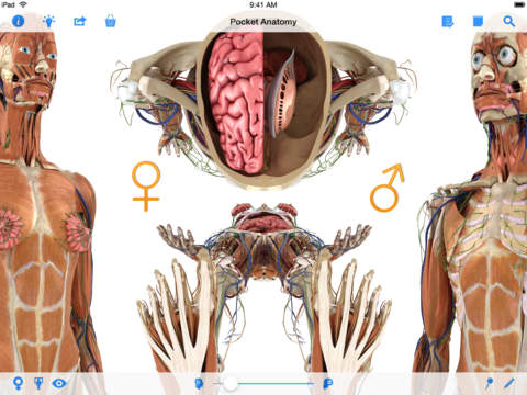 Pocket Anatomy - Interactive 3D Human Anatomy and Physiology. screenshot 6