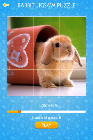 Rabbit Jigsaw Puzzles - náhled