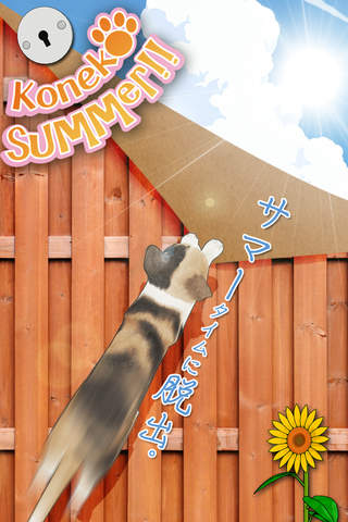 脱出ゲーム 猫が逃げた夏。 - náhled
