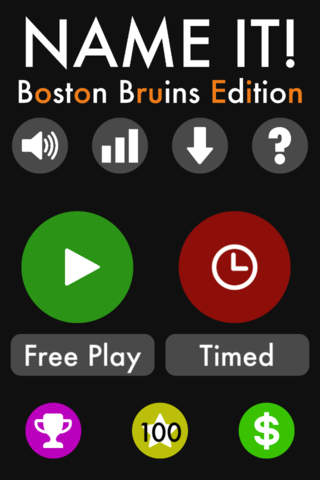 Name It! - Boston Hockey Edition - náhled