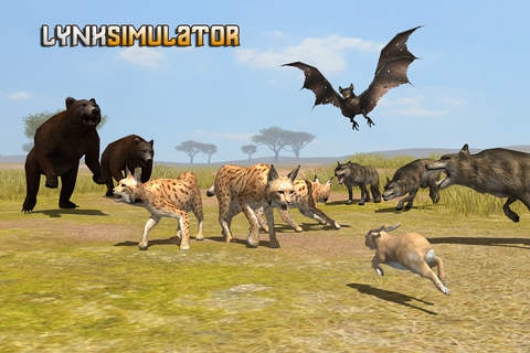 Lynx Survival Simulator - náhled