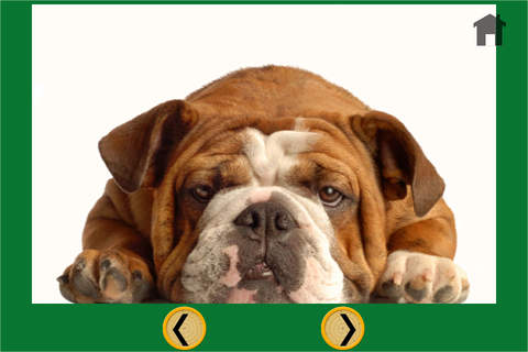 Dogs and my kids - free game - náhled