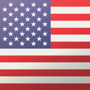 American Flag Traveling