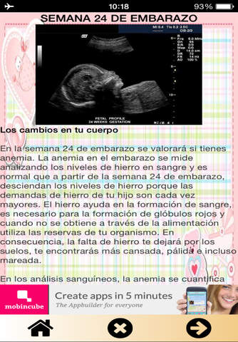 Embarazo semana a semana - náhled