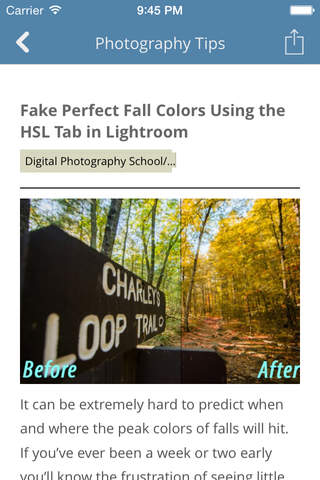 Photography Tips and Tricks - Learn New Photograph - náhled